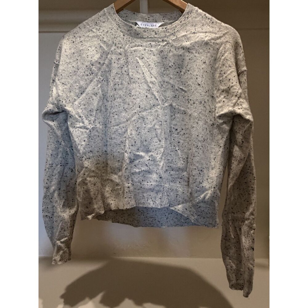 Everlane Confetti Crew 100% Cashmere sweater, Small